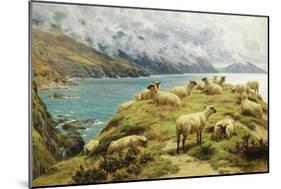 Sheep Reposing, Dalby Bay, Isle of Man-Basil Bradley-Mounted Giclee Print
