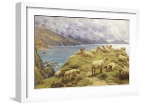 Sheep Reposing, Dalby Bay, Isle of Man-Basil Bradley-Framed Giclee Print