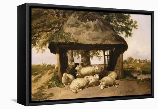 Sheep Resting under a Shelter-Thomas Sidney Cooper-Framed Stretched Canvas