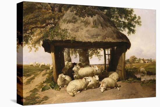 Sheep Resting under a Shelter-Thomas Sidney Cooper-Stretched Canvas