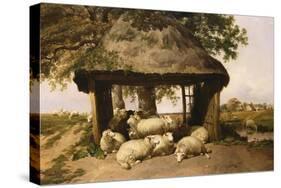 Sheep Resting under a Shelter-Thomas Sidney Cooper-Stretched Canvas