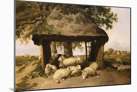 Sheep Resting under a Shelter-Thomas Sidney Cooper-Mounted Giclee Print
