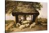 Sheep Resting under a Shelter-Thomas Sidney Cooper-Stretched Canvas