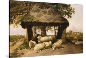 Sheep Resting under a Shelter-Thomas Sidney Cooper-Stretched Canvas