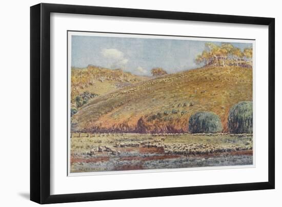 Sheep Run-Percy F.s. Spence-Framed Art Print