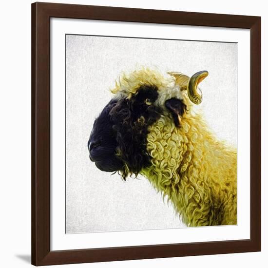 Sheep's Head-Mark Gemmell-Framed Photographic Print