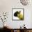 Sheep's Head-Mark Gemmell-Framed Stretched Canvas displayed on a wall
