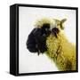 Sheep's Head-Mark Gemmell-Framed Stretched Canvas