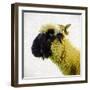 Sheep's Head-Mark Gemmell-Framed Photographic Print