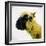 Sheep's Head-Mark Gemmell-Framed Photographic Print