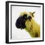 Sheep's Head-Mark Gemmell-Framed Photographic Print