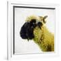 Sheep's Head-Mark Gemmell-Framed Photographic Print