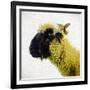 Sheep's Head-Mark Gemmell-Framed Photographic Print