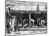 Sheep Shearing, Australia, 1886-A Sirouy-Mounted Giclee Print