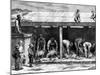 Sheep Shearing, Australia, 1886-A Sirouy-Mounted Giclee Print