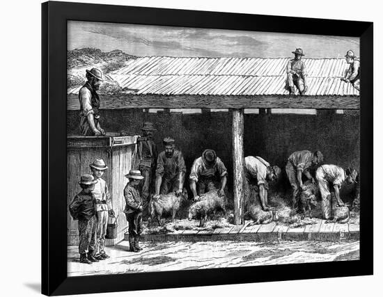 Sheep Shearing, Australia, 1886-A Sirouy-Framed Giclee Print