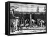 Sheep Shearing, Australia, 1886-A Sirouy-Framed Stretched Canvas