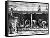 Sheep Shearing, Australia, 1886-A Sirouy-Framed Stretched Canvas