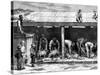 Sheep Shearing, Australia, 1886-A Sirouy-Stretched Canvas