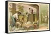 Sheep Shearing, Australia-null-Framed Stretched Canvas