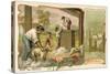 Sheep Shearing, Australia-null-Stretched Canvas