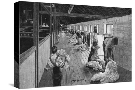 Stretched Canvas Print, , large