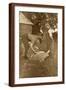 Brown Frame
