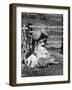 Sheep Shearing in Scotland at the End of May-Fred Musto-Framed Photographic Print