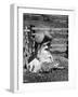 Sheep Shearing in Scotland at the End of May-Fred Musto-Framed Photographic Print
