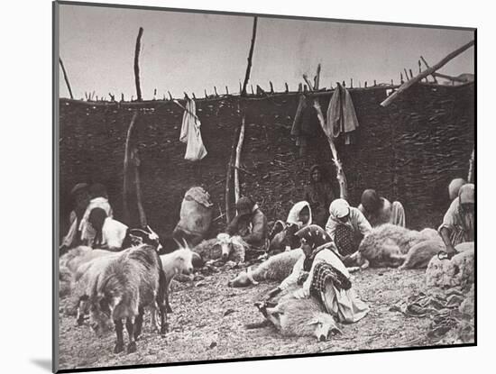 Sheep Shearing, Russia, C1875-C1877-Ivan Boldyrev-Mounted Giclee Print