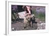 Sheep Shearing-null-Framed Photographic Print