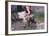 Sheep Shearing-null-Framed Photographic Print