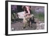 Sheep Shearing-null-Framed Photographic Print