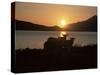 Sheep Silhouetted Against the Midnight Sun, Astafjorden, Troms, Norway, Scandinavia, Europe-Jochen Schlenker-Stretched Canvas