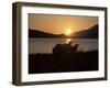 Sheep Silhouetted Against the Midnight Sun, Astafjorden, Troms, Norway, Scandinavia, Europe-Jochen Schlenker-Framed Photographic Print