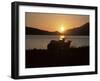 Sheep Silhouetted Against the Midnight Sun, Astafjorden, Troms, Norway, Scandinavia, Europe-Jochen Schlenker-Framed Photographic Print