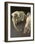 Sheep Skulls, 2001-Vincent Yorke-Framed Giclee Print