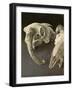 Sheep Skulls, 2001-Vincent Yorke-Framed Giclee Print