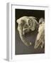 Sheep Skulls, 2001-Vincent Yorke-Framed Giclee Print