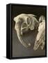 Sheep Skulls, 2001-Vincent Yorke-Framed Stretched Canvas