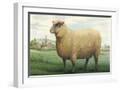 White Frame