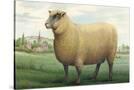 Stretched Canvas
