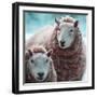 Sheep Square I-Andi Metz-Framed Art Print