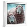 Sheep Square I-Andi Metz-Framed Art Print