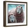 Sheep Square I-Andi Metz-Framed Art Print