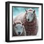 Sheep Square I-Andi Metz-Framed Art Print