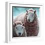 Sheep Square I-Andi Metz-Framed Art Print