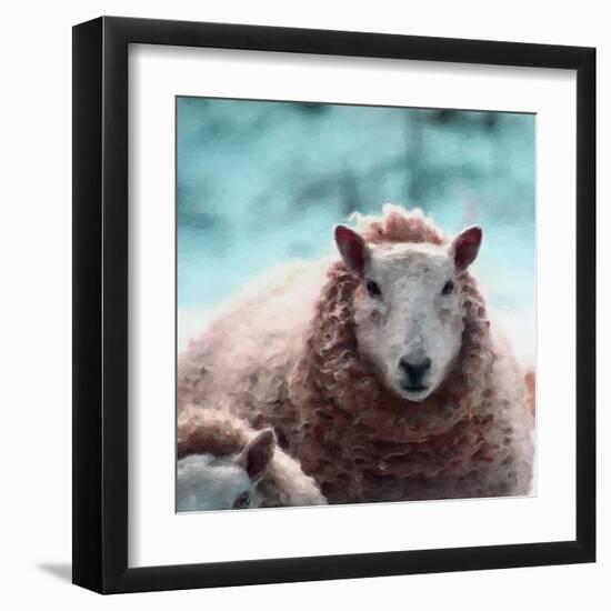 Sheep Square II-Andi Metz-Framed Art Print