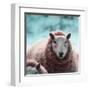 Sheep Square II-Andi Metz-Framed Art Print