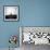 Sheep Standing on Hill Looking Down, Taransay, Outer Hebrides, Scotland, UK-Lee Frost-Framed Photographic Print displayed on a wall